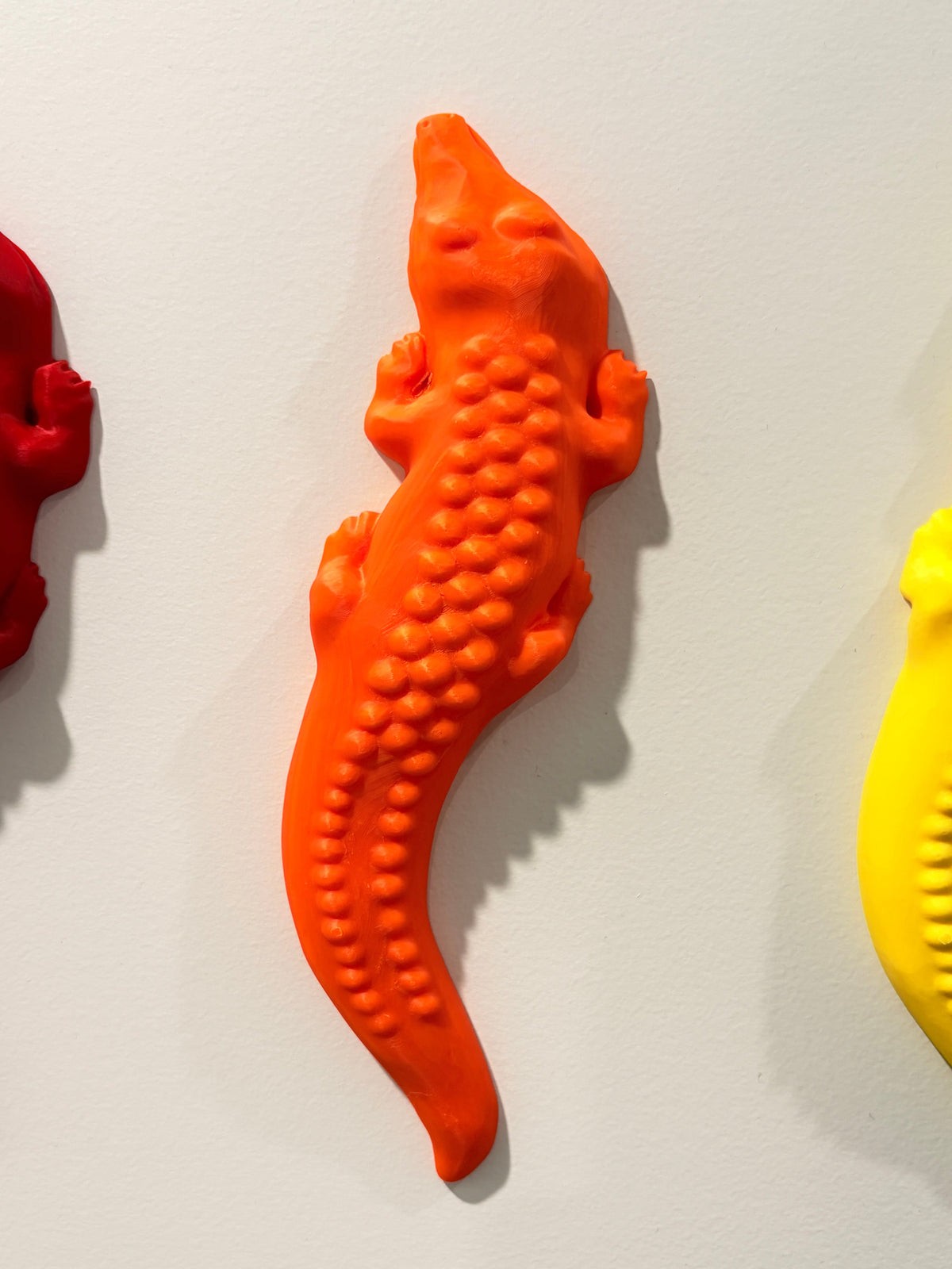 Crocodiles