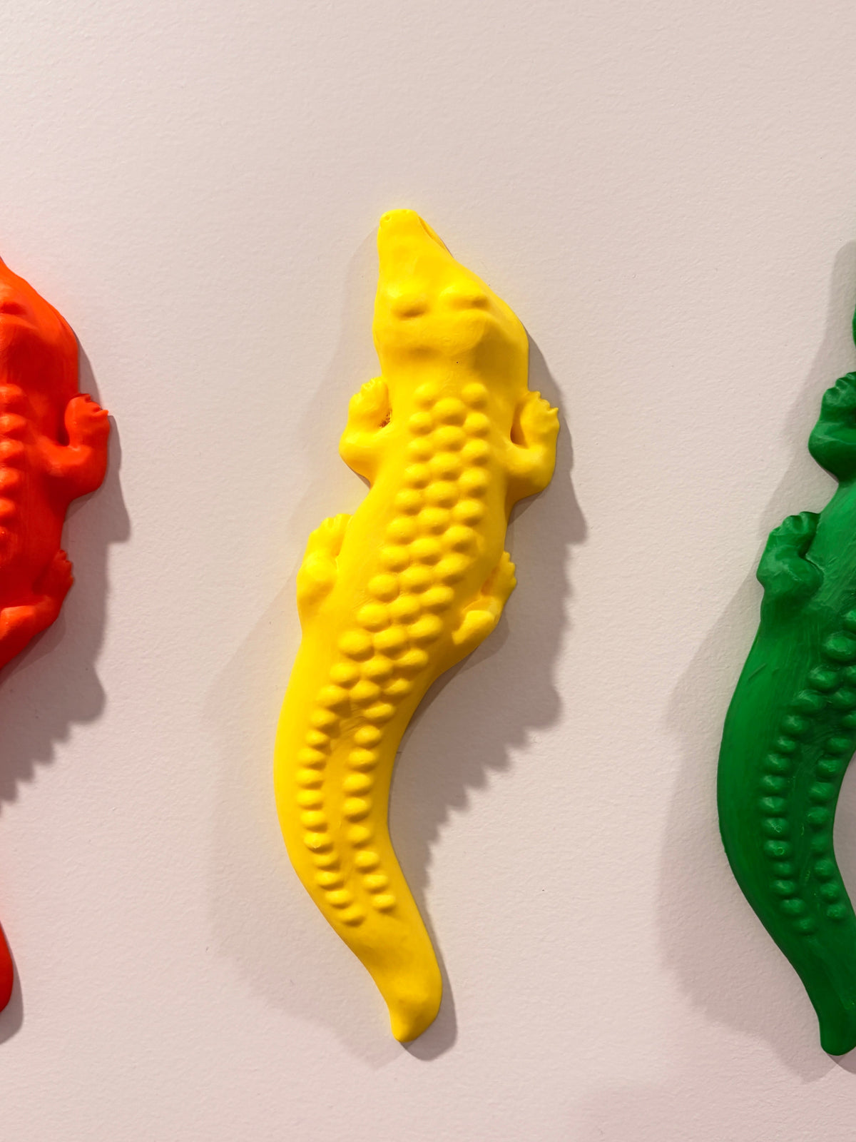 Crocodiles